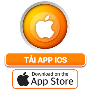 Trang Chủ 19 84D769B4Cef9F7B2D368F9296Dfdbd61