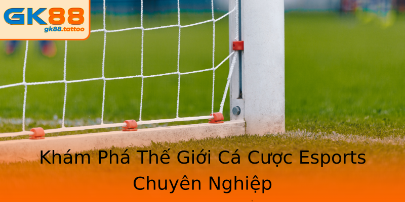 Khám Phá Thế Giới Cá Cược Esports Chuyên Nghiệp Khám Phá Thế Giới Cá Cược Esports Chuyên Nghiệp